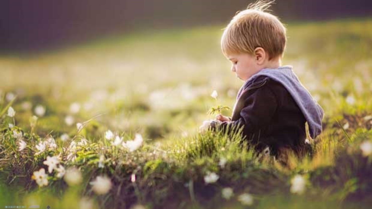 چگونه سطح آرامش کودکان را افزایش دهیم ؟-3